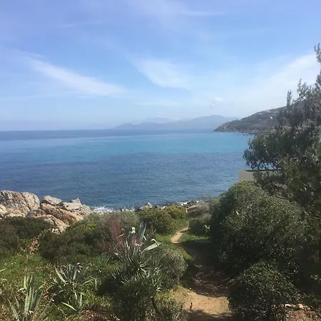 Les Pieds Dans L'eau 蒙蒂塞洛