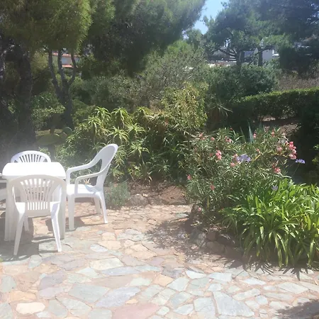 Les Pieds Dans L'eau *