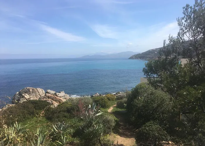 Les Pieds Dans L'eau 蒙蒂塞洛