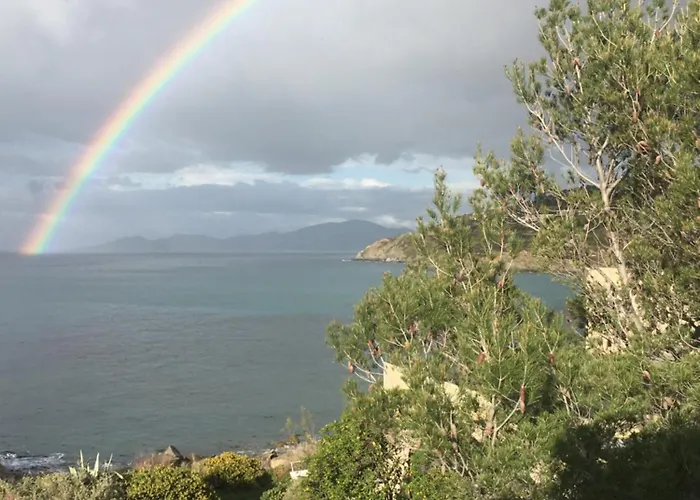Les Pieds Dans L'eau 蒙蒂塞洛
