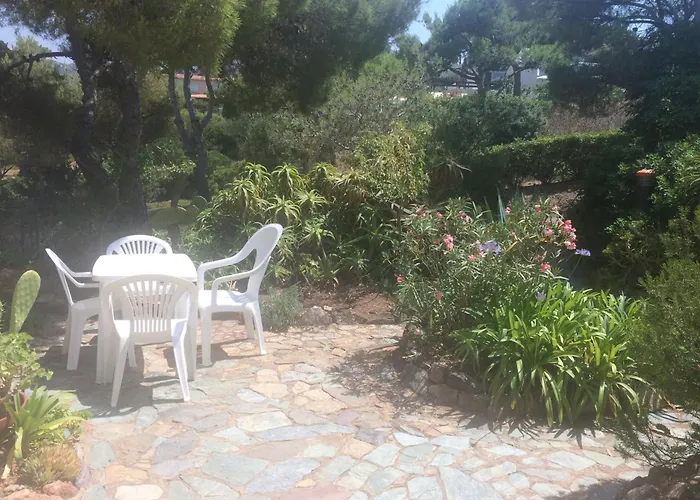 Les Pieds Dans L'eau *